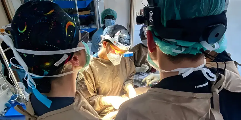 Mentorship Networking